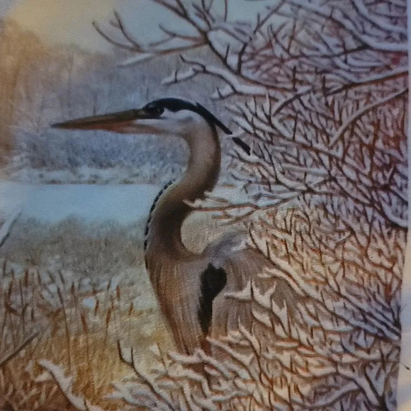 National Wildlife Federation Scarf Winter Marsh Wetlands Birds 12x42" - Picture 6 of 7